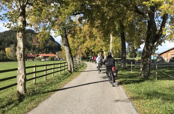 in voller Fahrt voraus!